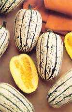 2002 All-America Selection: squash.